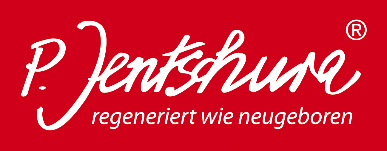Partner 6